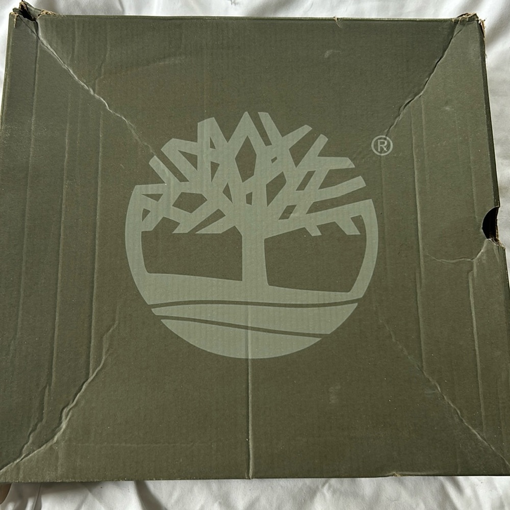 Size 11 Timberland winter boots.